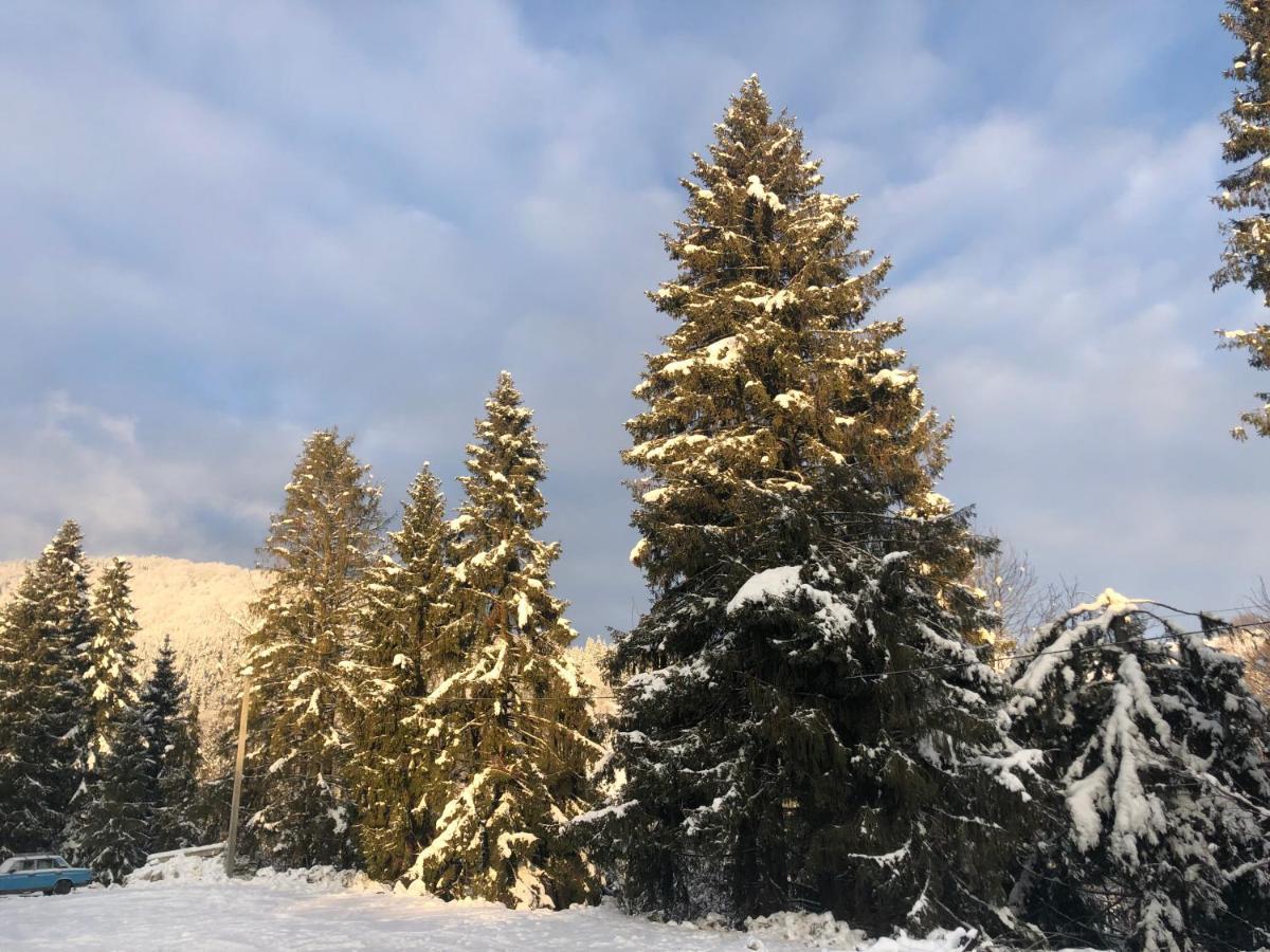 Hotel Piatkovskiy Pilipets Dış mekan fotoğraf